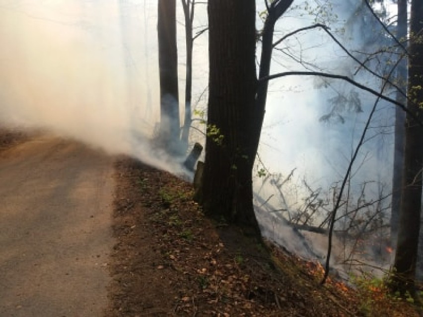 Kolejny pożar! Płonie las w pobliżu hotelu w Karpaczu [ZDJĘCIA]