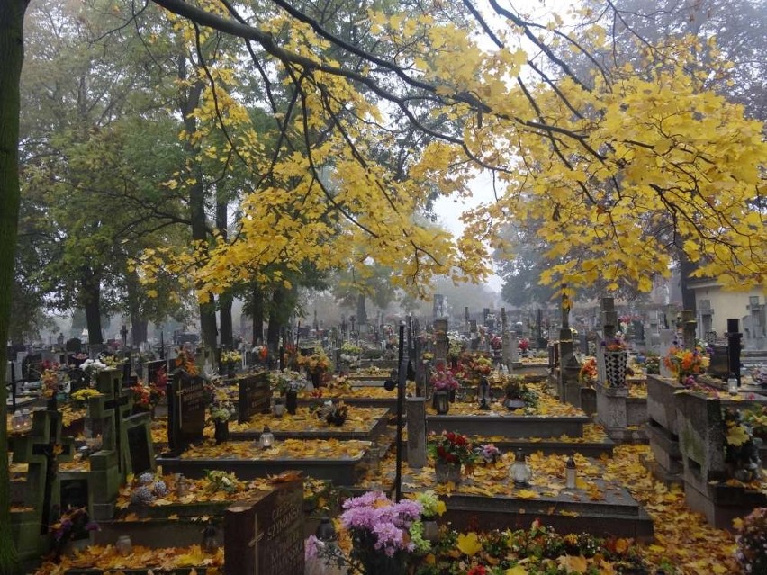 Pleszewskie cmentarze