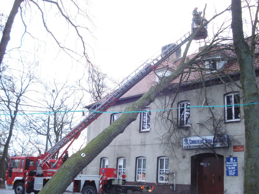 Straż w Chodzieży usuwała drzewo przewrócone na dach domu...