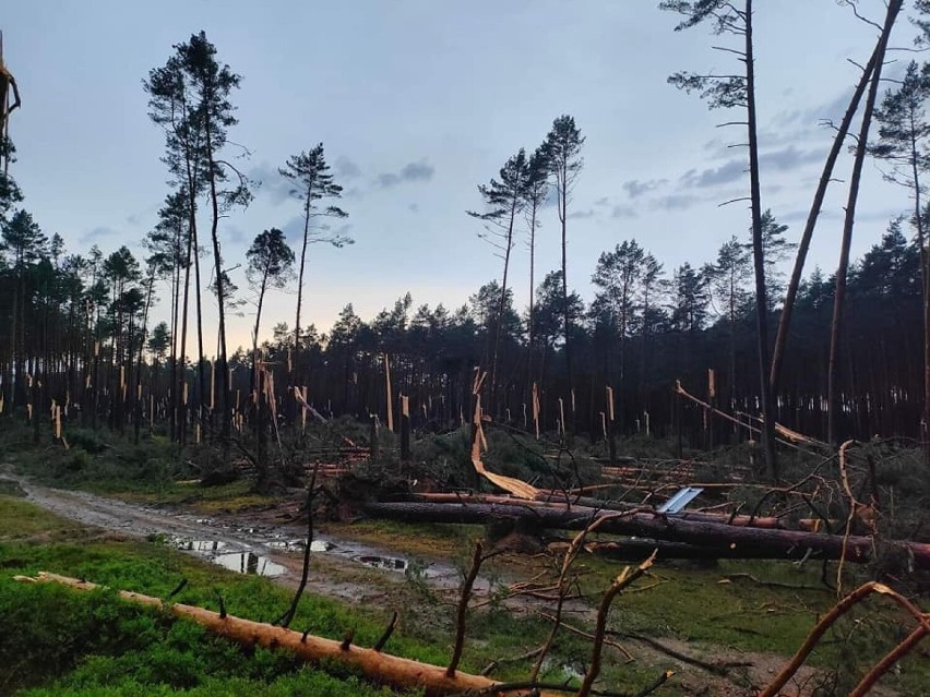 Skutki burz, które dały się we znaki mieszkańcom regionu,...