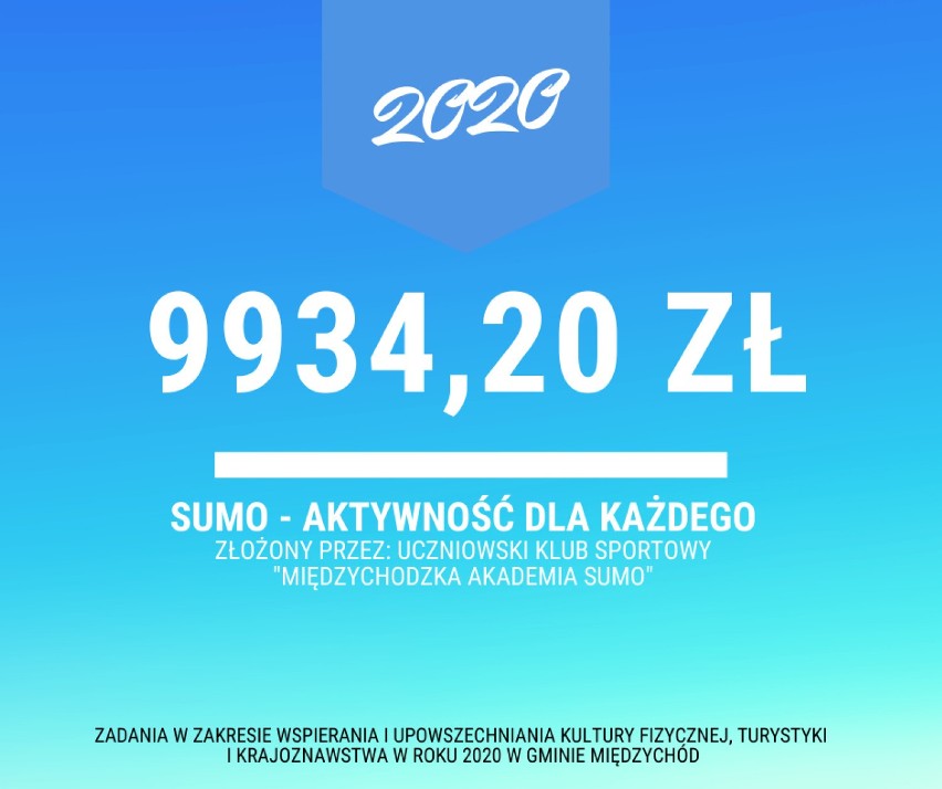 Sportowe zadania Gminy Międzychód 2020