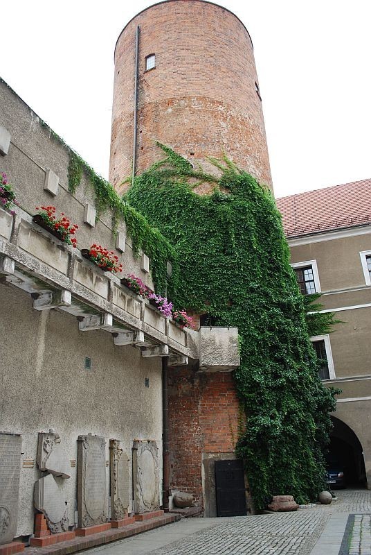 Na zamkowym dziedzińcu znajduje się wejście na wieżę