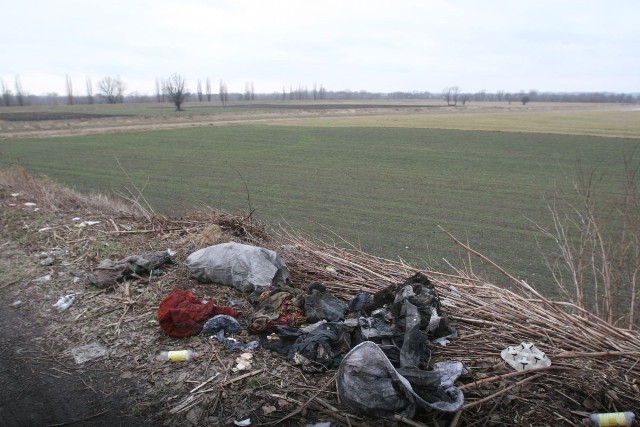 O wysypisku przy moście nad Ulgą powiadomiliśmy magistrat. Urzędnicy obiecali, że zajmą się tą sprawą i dotrzymali słowa!