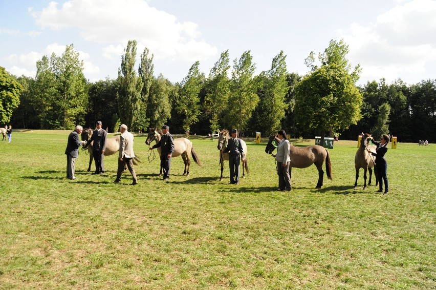 Sieraków - Tarpaniada 2013