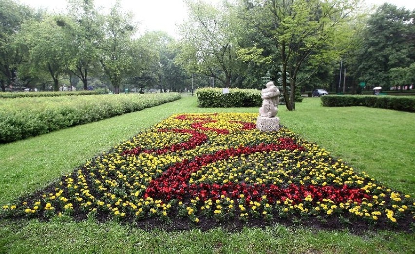 Kwiaty w Łodzi w parkach i na rondach