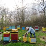 Z wizytą w Pasiece Nowaccy. Pszczoły już pracują i potrzebują naszego wsparcia. ZDJĘCIA