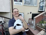 Maria Kłys (Maja) z Żor pomaga bezdomnym kotom. Wraz z wolontariuszkami opiekuje się 21 czworonogami. Niestety, brakuje pieniędzy ZDJĘCIA 