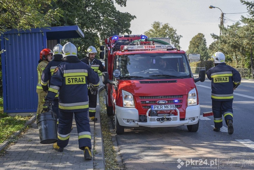 Strażacy znów w akcji! Tym razem w Lutogniewie [ZDJĘCIA]