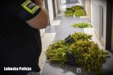 Narkotyki o wartości 0,5 mln zł zabezpieczone przez policję w Krośnie Odrzańskim. Zatrzymano 40-letniego mężczyznę