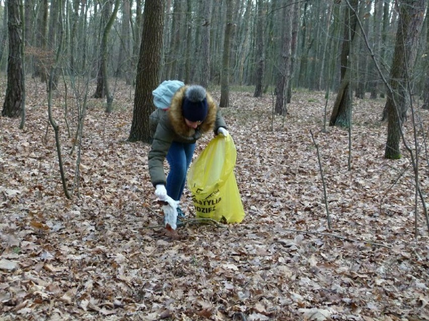 Akcję sprzątania Lasu Paprockiego w Zduńskiej Woli...