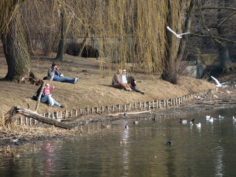 Wiosna w parku Skaryszewskim [ZDJĘCIA]