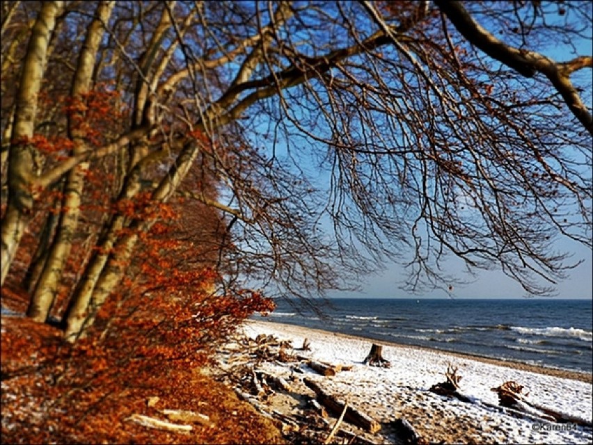 Zima nad Bałtykiem - Gdynia-Orłowo