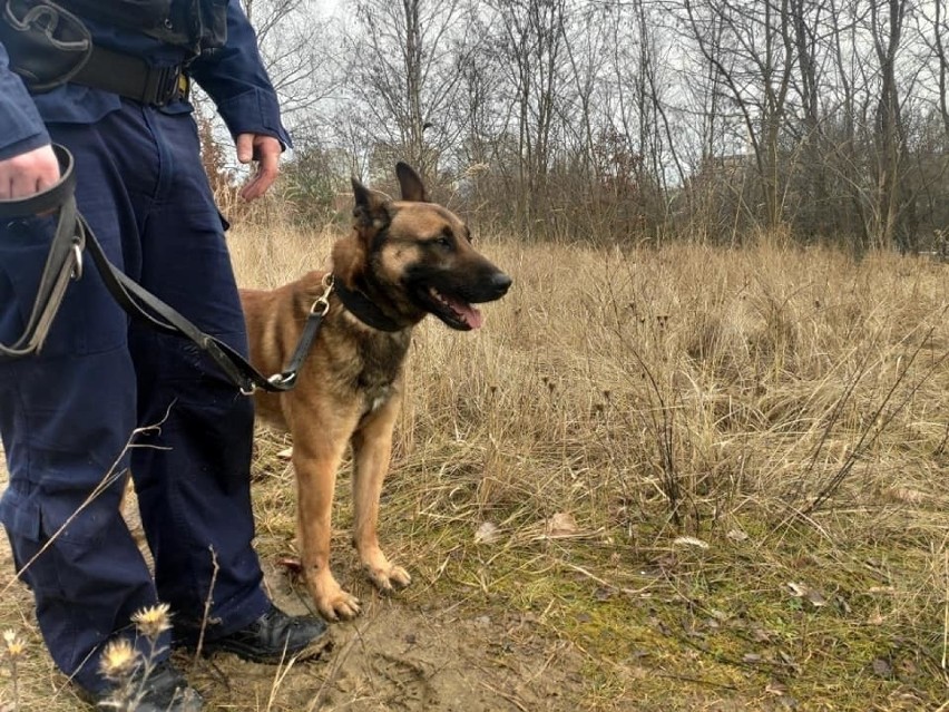 Od momentu zaginięcia, w Gorzowie trwały intensywne...