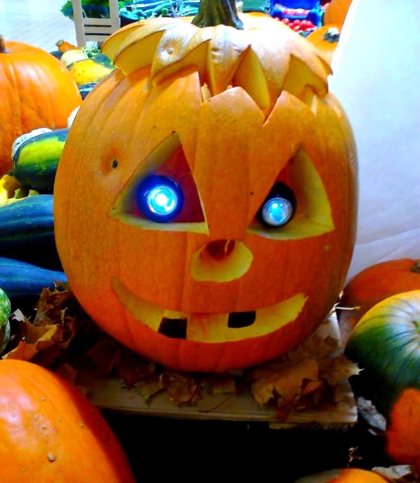 Noc z 31 pażdziernika na 1 listopada to noc Halloween