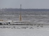 Kraina Lodu, czyli tak wyglądał Puck po silnym styczniowym sztormie | ZDJĘCIA