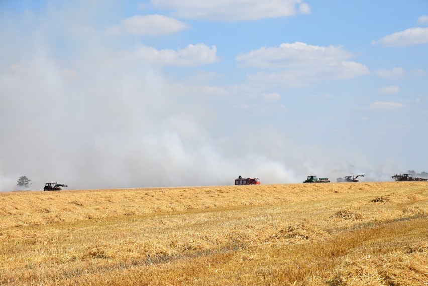 Na polu wybuchł pożar. Interweniowali strażacy z Wrześni i Gniezna [FOTO]