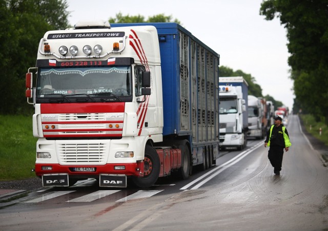 S12 ma przejąć ruch tranzytowy z drogi krajowej nr 12.


Dziś to właśnie tędy przejeżdżają dziennie setki tirów