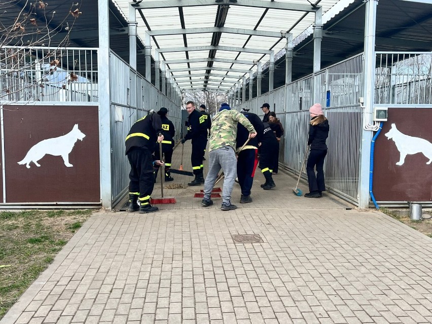 OSP z terenu gminy Rawicz pomagają w schronisku dla zwierząt