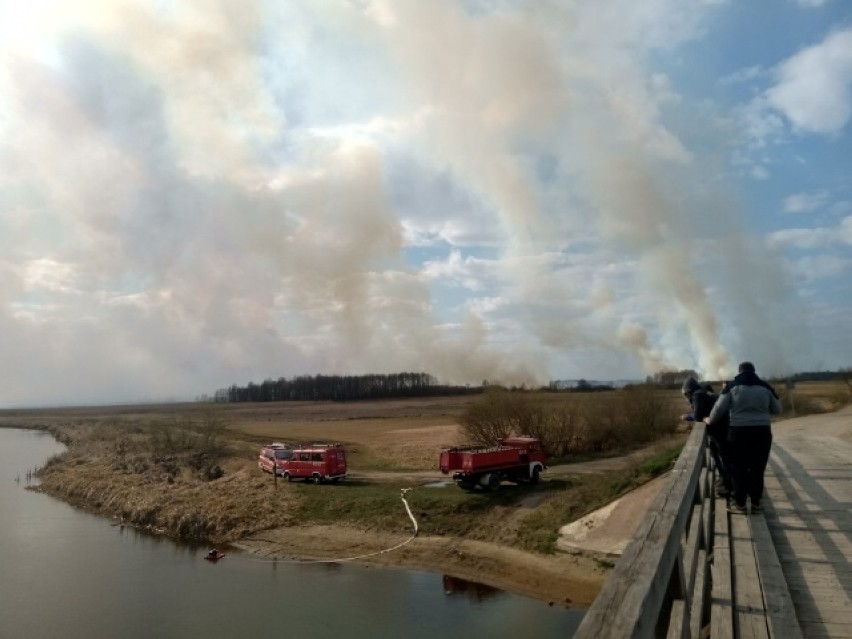 Biebrzański Park Narodowy. Płoną łąki nad Biebrzą (zdjęcia)