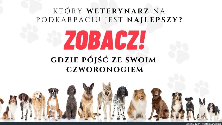 Na podstawie opinii o podkarpackich lekarzach weterynarii...