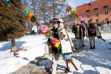 12-metrowa palma powstała w Czarnym Borze (ZDJĘCIA)