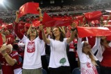 Polska Brazylia - mecz siatkówki w Kraków Arena. Gorący doping polskich kibiców [NOWE ZDJĘCIA]