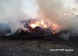 Pożar stodoły w Dębnie [zdjęcia]