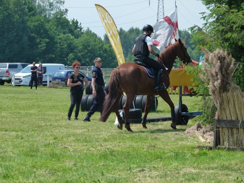 Międzynarodowy Turniej jeździecki w Gajewnikach