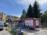 Chwile grozy w największej szkole w Jeleniej Górze. Ewakuowano kilkaset osób. Był też wyciek gazy przy ul. Kiepury 