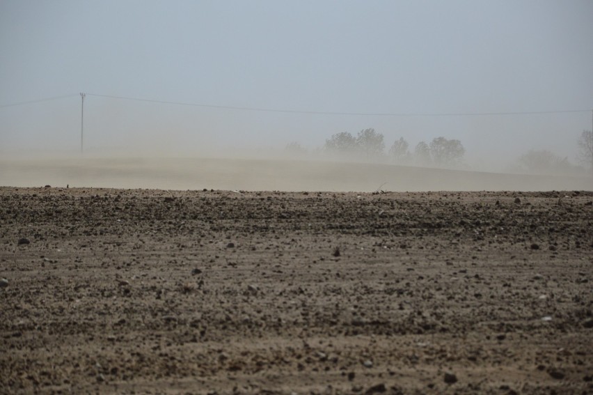 Saharyjski pył na Pomorzu. Pył jest niebezpieczny na drodze! [zdjęcia]