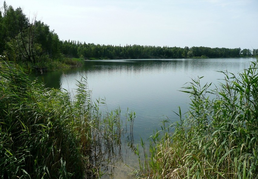 Jezioro Czarna Woda w Koninie to pokopalniany zbiornik o...