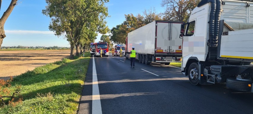 Zderzenie dwóch ciężarówek na trasie Grodzisk - Ruchocice 