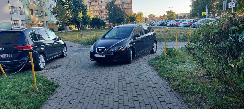 Mistrzowie parkowania we Włocławku