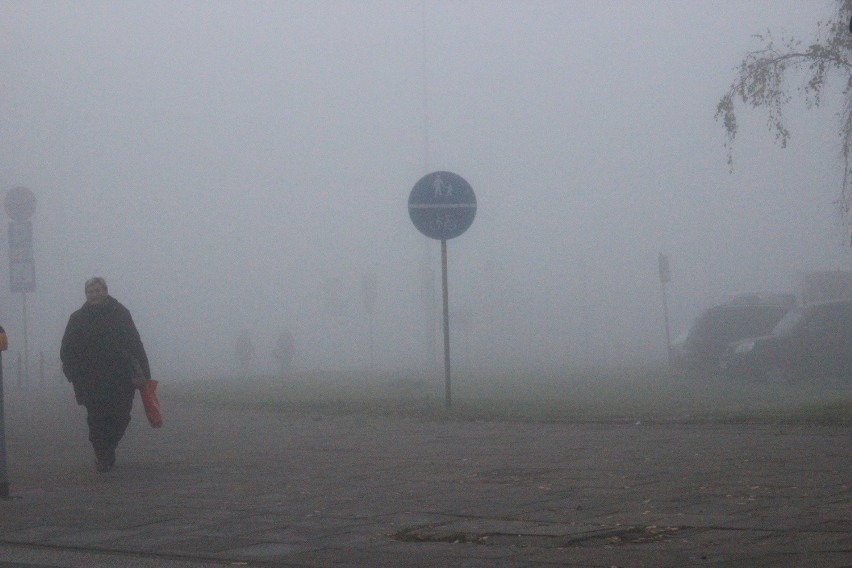 Uważajcie! Silne mgły w woj śląskim. Widoczność do kilkunastu metrów! [prognoza pogody]