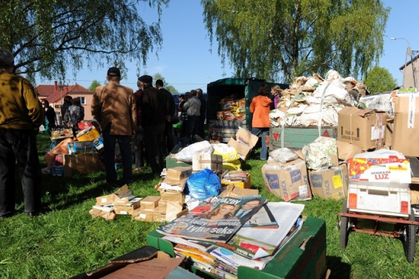 Drzewko za makulaturę w Mikołajkach Pomorskich