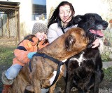 Marzena Głowacka stworzyła unikatowe w regionie pogotowie opiekuńcze dla psów