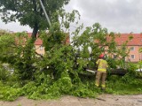 Połamane gałęzie i drzewa, uszkodzona latarnia, płonące baloty - strażacki weekend