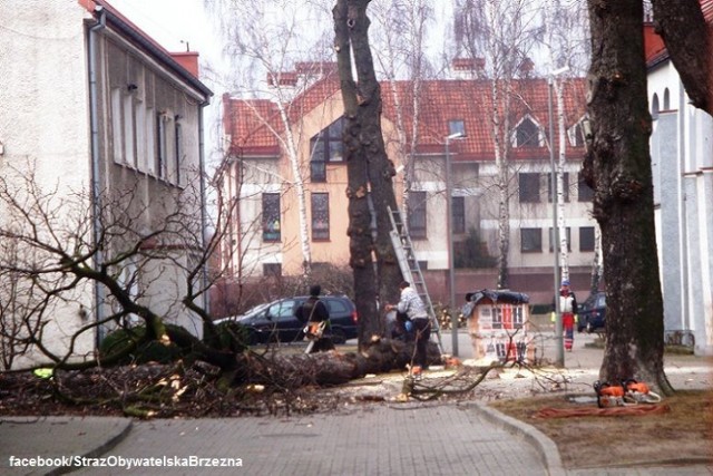 Gdańsk Brzeźno. Wycięto 90-letnie kasztany przy kościele p.w. Św. Antoniego Padewskiego.