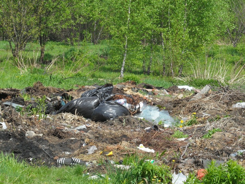 Jest sukces! Sprzątają śmieci przy ogródkach działkowych Irys na Wirku!