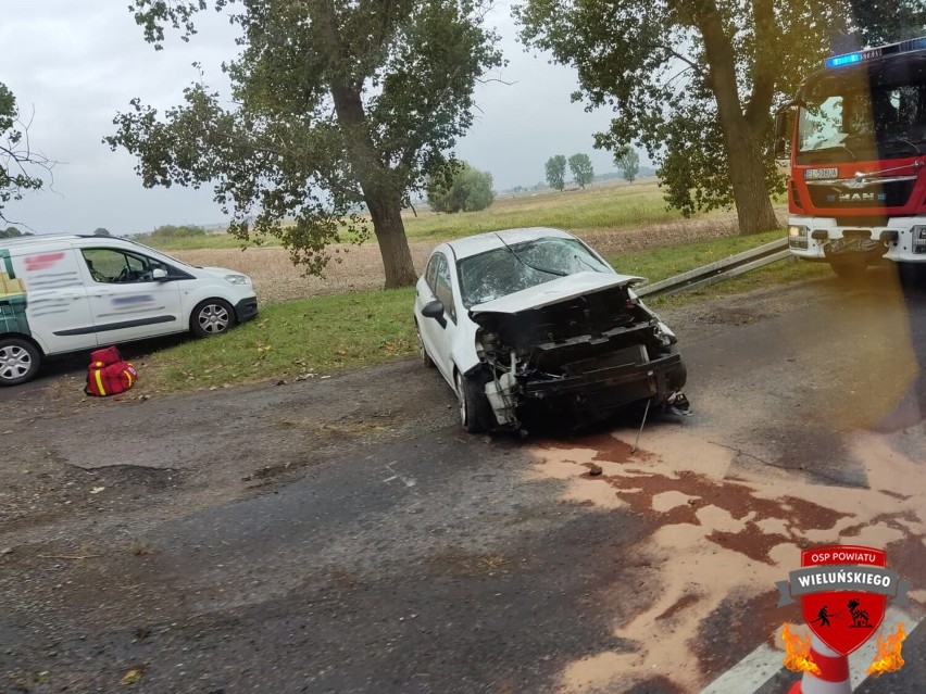 Auto rozbiło się w rowie na drodze wojewódzkiej koło Wielunia 