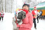 Bieg Mikołajów i Mikołajek w Siemianowicach to jedna z najbarwniejszych imprez na początku grudnia. Zobaczcie ZDJĘCIA z biegu