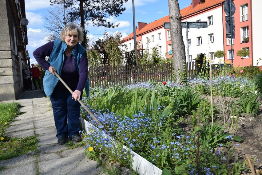 Danuta Wcześniak z niczego zrobiła przyblokowy ogródek pełen...