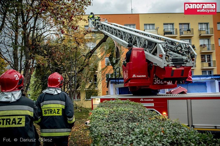 Strażacy usuwają nadłamane przez wichurę drzewo przy ulicy...