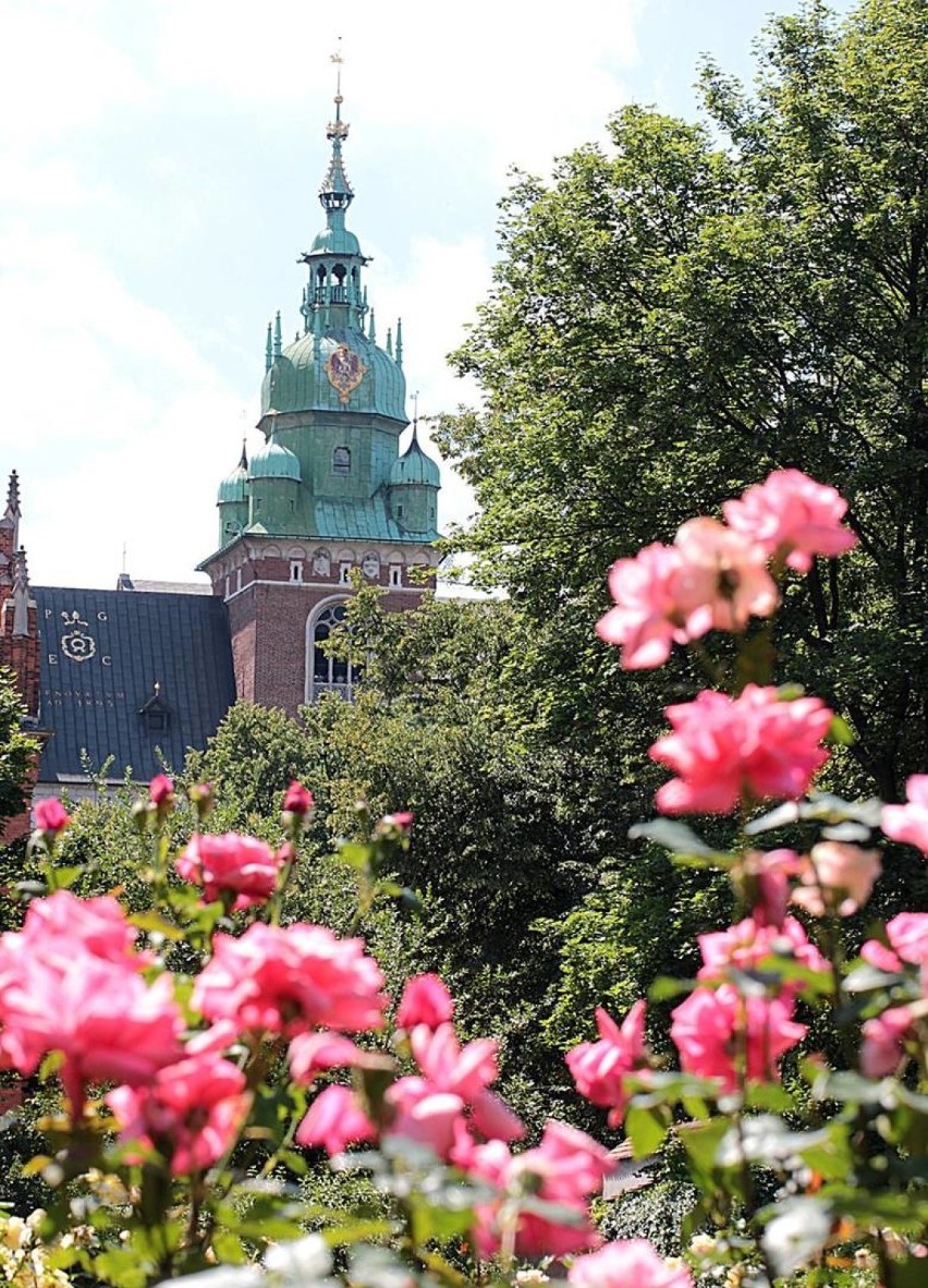 Wawel: godziny otwarcia, godziny zwiedzania, ceny biletów