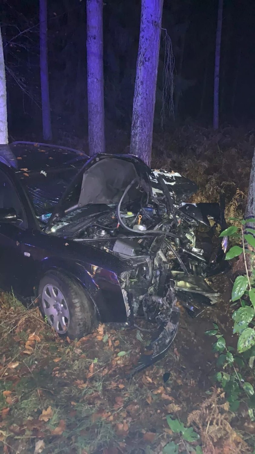 Wypadek pod Budzieniem. Auto rozbiło się na drzewie