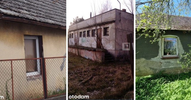 Na portalu OtoDom.pl można znaleźć wiele ciekawych ogłoszeń, dotyczących sprzedaży m.in. działek budowalnych, siedlisk, działek ROD oraz domów jednorodzinnych. Tym razem postanowiliśmy przyjrzeć się bliżej najtańszym nieruchomościom do zamieszkania, które mogą niekiedy wymagać remontu. Co i za ile można obecnie kupić w województwie kujawsko-pomorskim? Sprawdźcie sami!