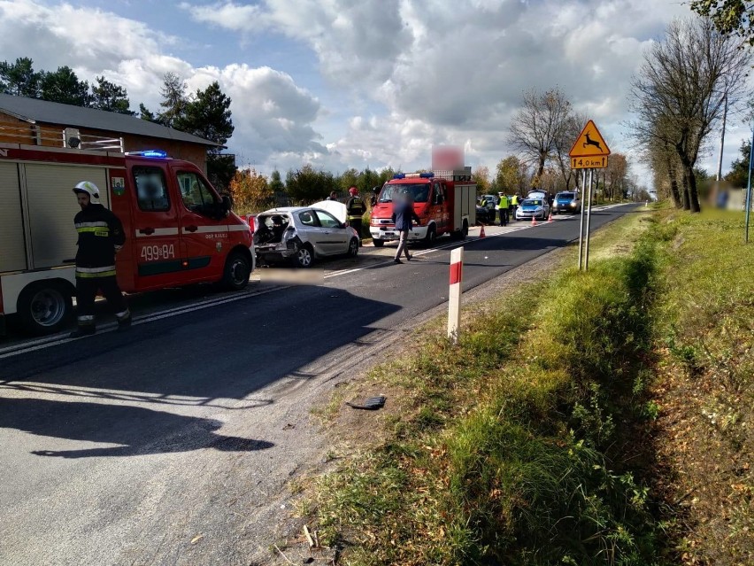Tragiczny wypadek na DW 494 w Kalei. Zginął 57-letni kierowca z powiatu kłobuckiego [ZDJĘCIA]