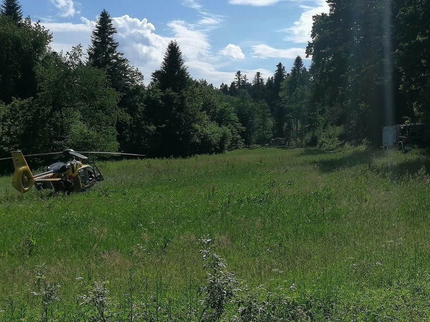 Mężczyzna spadł z drzewa w lesie w Chołowicach niedaleko Przemyśla i został poważnie ranny. Na miejscu lądował śmigłowiec LPR [ZDJĘCIA]