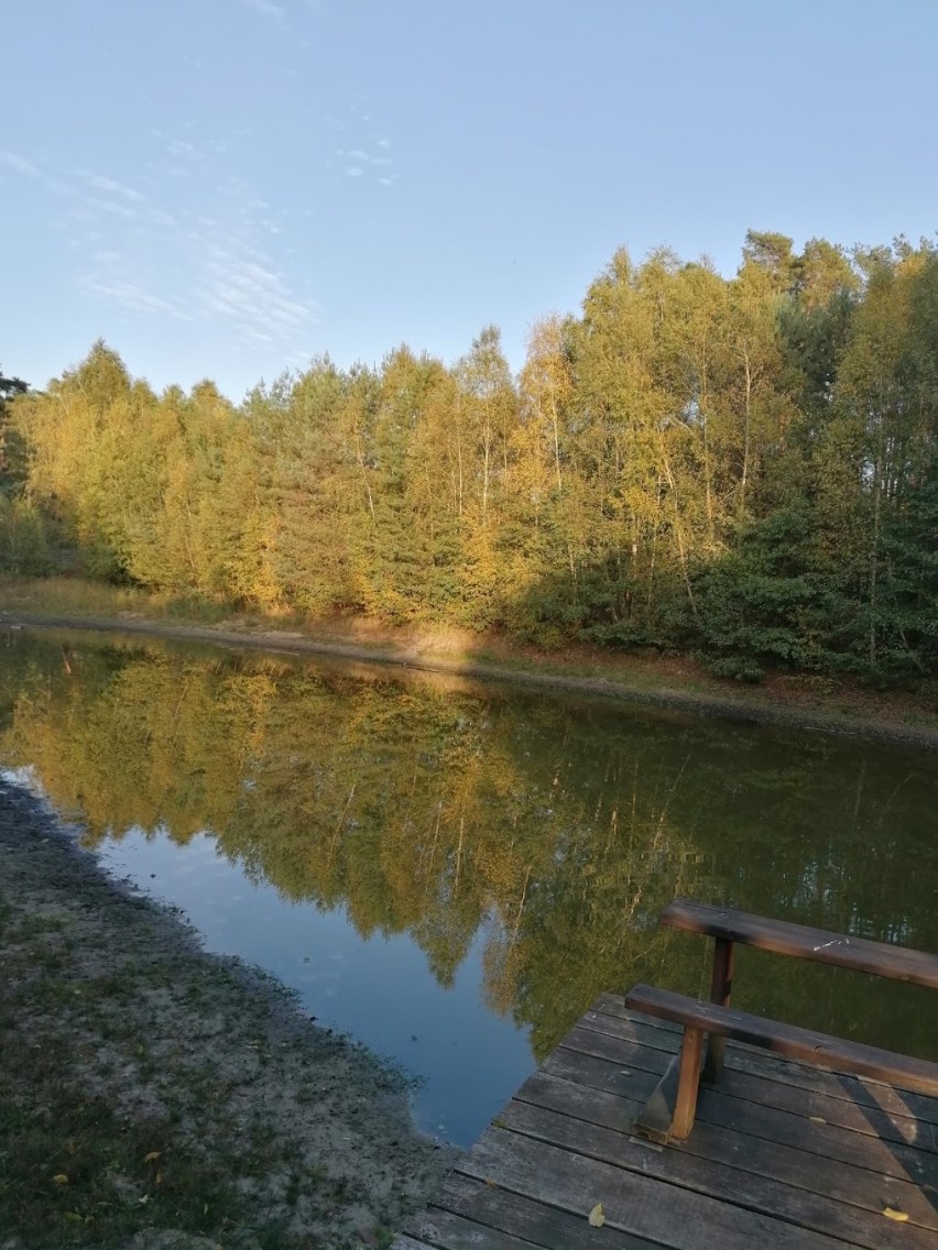 Leszno. Urokliwa i pełna zwierząt leśniczówka Koczury w jesiennej odsłonie [ZDJĘCIA] 