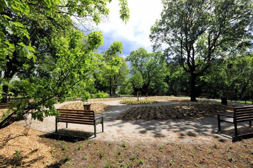 Kolejne tereny parkowe w Toruniu zyskują nowe...